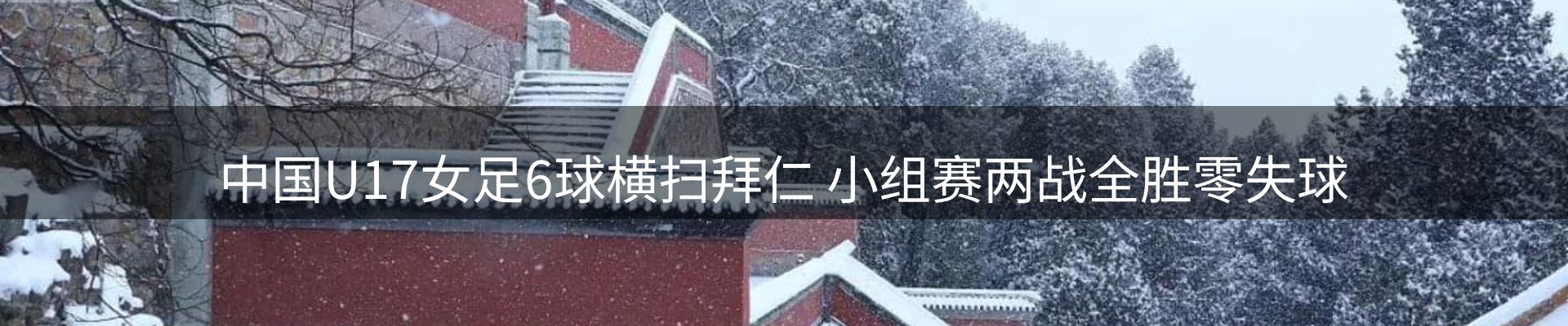 球盟会要闻