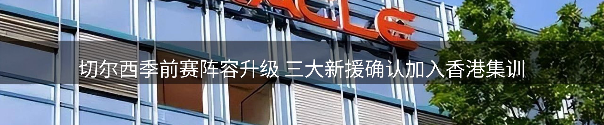 最新动态