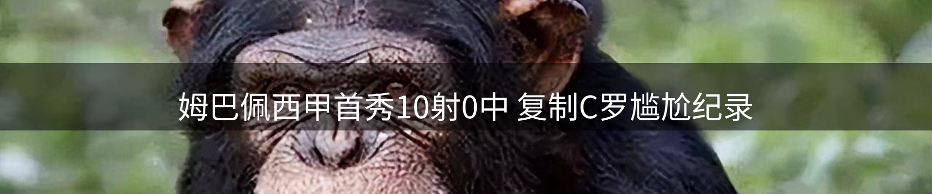 球盟会要闻