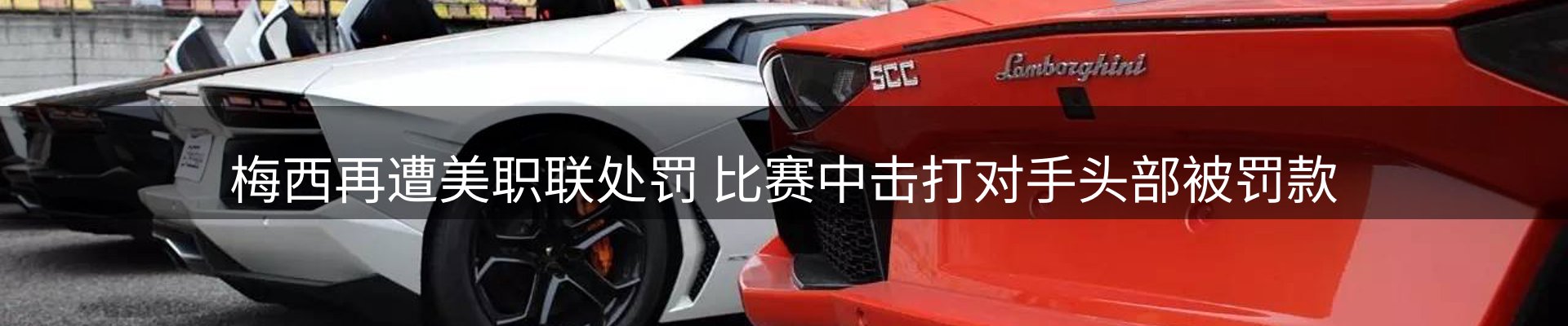 球盟会要闻