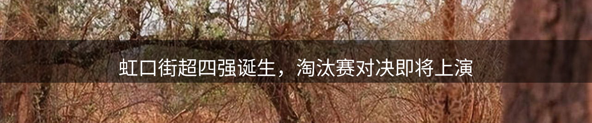 球盟会要闻