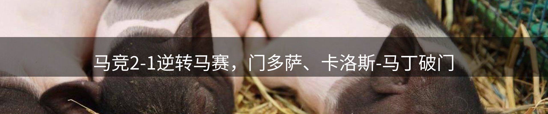 球盟会要闻