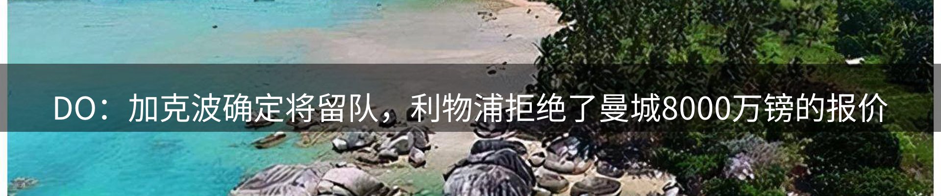 球盟会要闻