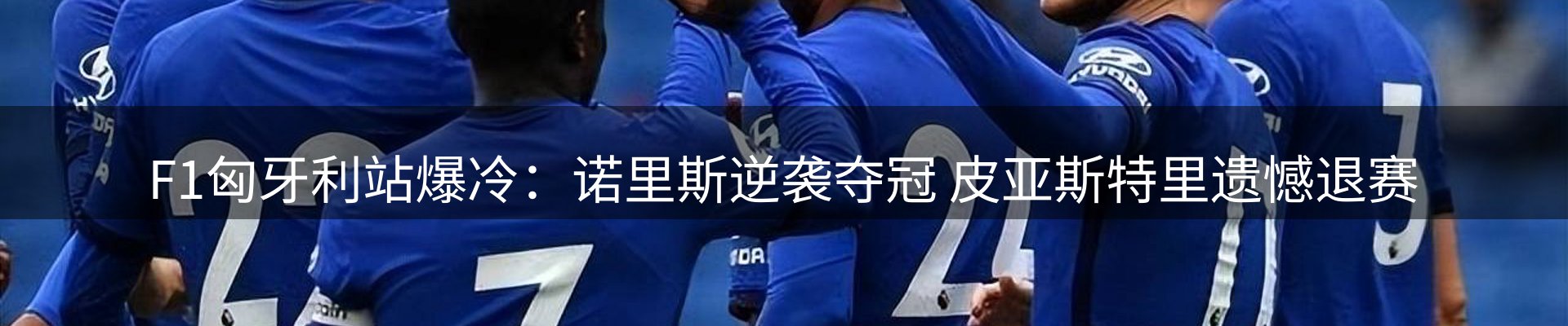 最新动态